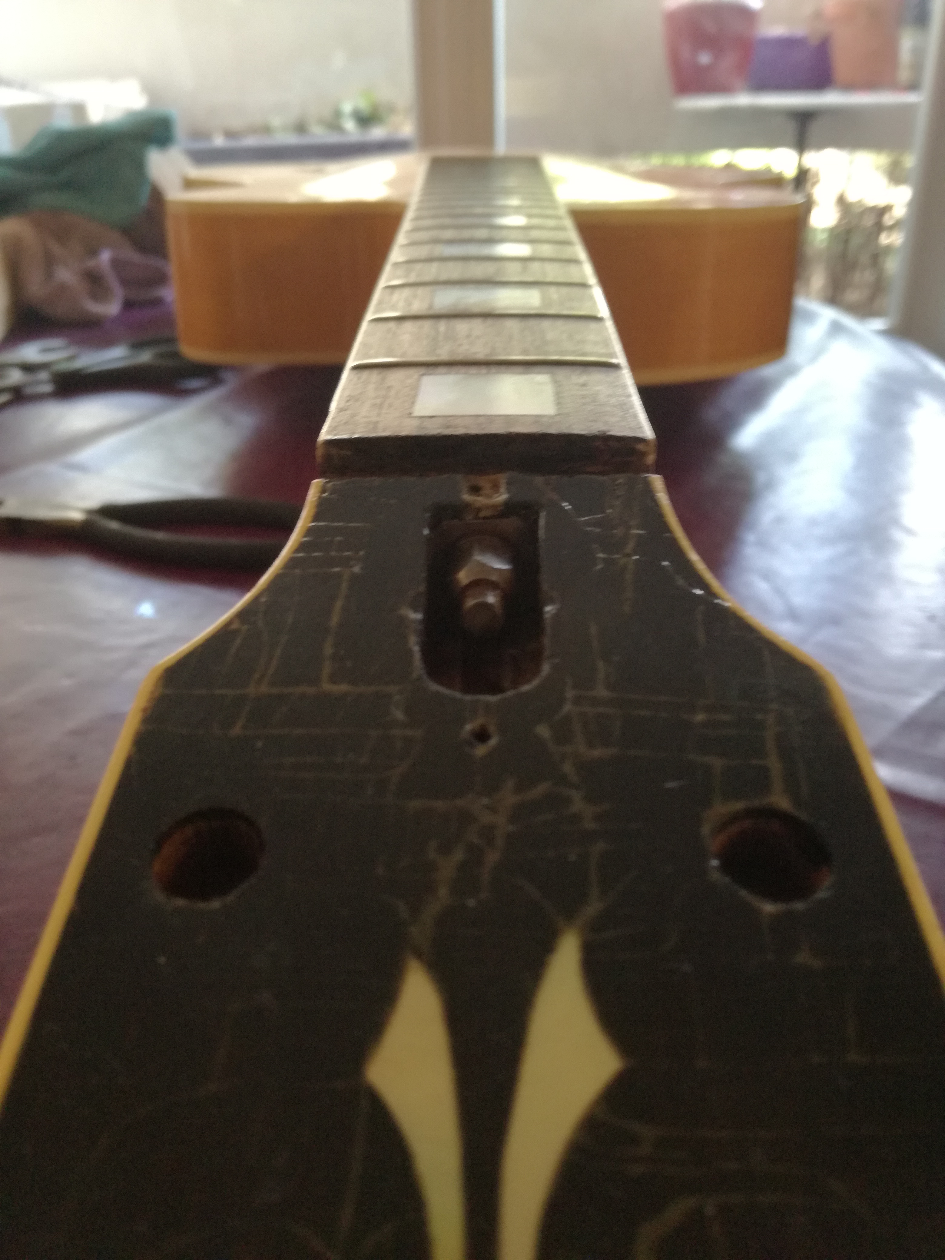 Archtop LEVIN